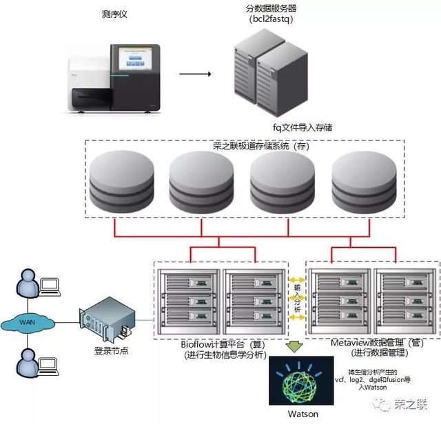 基因檢測分析服務正式上線 榮之聯(lián)為菩提慧生醫(yī)學檢驗所注入數(shù)據(jù)處理新動能